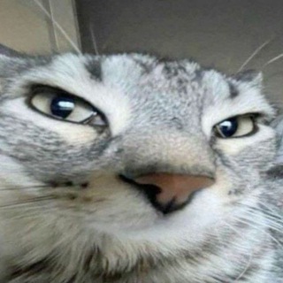 Telegram profile photo for SiO4_4
