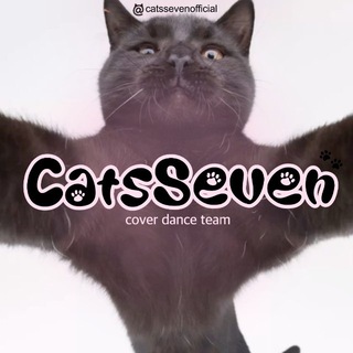 Telegram profile photo for catsseven