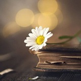 Telegram profile photo for دعم أثر