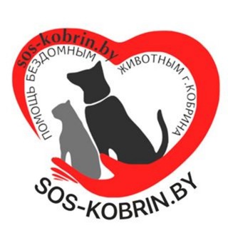 Telegram profile photo for sos_kobrin✨