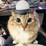 Telegram profile photo for Обновляй Юсернейм