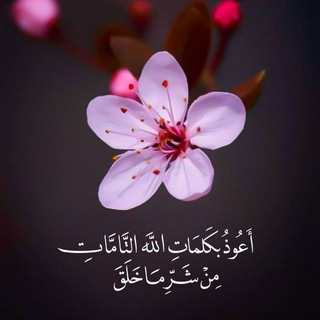 Telegram profile photo for مِوَاسَـــــاةْ سَــمْعيَّـــــة | قُـــــرآنٍ ♥️