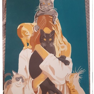 Telegram profile photo for Mother of 13 cats