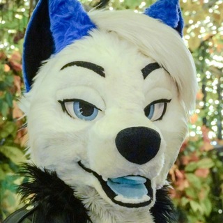 Telegram profile photo for Benji Maycher 😇