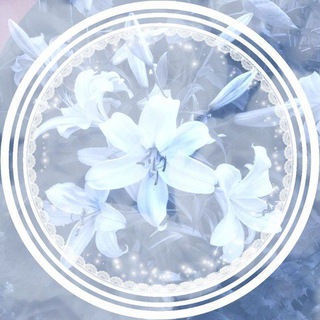 Telegram profile photo for 𝙺𝚊𝒾𝒽𝒶𝓂𝒾 𝒾𝚗𝚏𝚘 - 天使愛