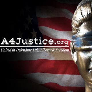 Telegram profile photo for Americans for Justice, Inc