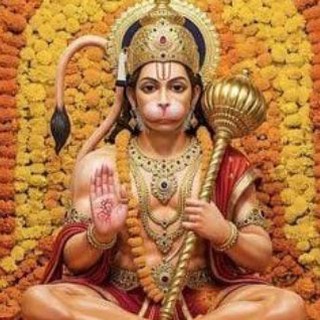 Telegram profile photo for Yogi crude oil experts (Apasb)