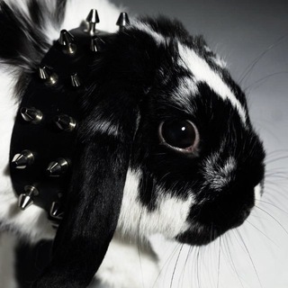 Telegram profile photo for мусорка лейли