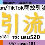 Telegram profile photo for IG海外群发引流协议