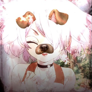 Telegram profile photo for ๐ต๐๐๐ ๐ฟ๐ง. ๐๐ฉ๐ค๐ฃ๐ ๐พ๐๐๐ ๐๐พ๐ท๐ช