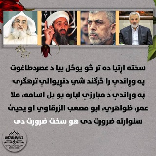 Telegram profile photo for د حق لښکر
