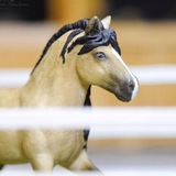 Telegram profile photo for Ragazzo Civallo 🐴