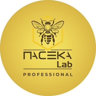 Telegram profile photo for Paseka_Lab