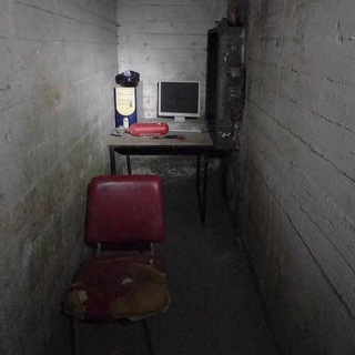 Telegram profile photo for The Basement Dev