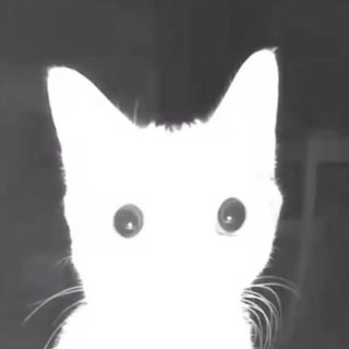 Telegram profile photo for рина.