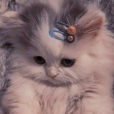 Telegram profile photo for aesthetic wallpaper