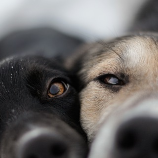 Telegram profile photo for Вредные привычки