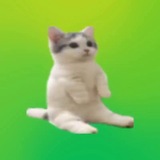Telegram profile photo for suck calls💀