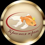 Telegram profile photo for База отдыха Красная Горка
