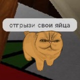 Telegram profile photo for 𓆡𓆝𓆞𓆟𓆜𓆛 🄺🄰🅃𓆡𓆝𓆞𓆟𓆜𓆛