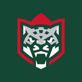 Telegram profile photo for ВХК АК БАРС