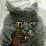 Telegram profile photo for олдман