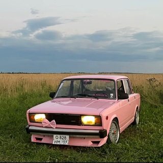 Telegram profile photo for Шпуля