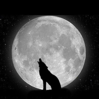 Telegram profile photo for بكسمك