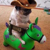 Telegram profile photo for мысли максониуса