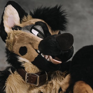 Telegram profile photo for MixedCandy Fursuit Updates