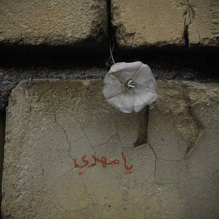 Telegram profile photo for - شوقٌ لرُؤياكَ .