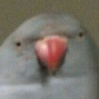 Telegram profile photo for Yeah