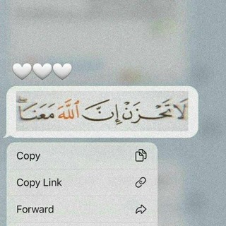 Telegram profile photo for تـؤجـر 🕊