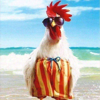 Telegram profile photo for جـوانـــح 🐓