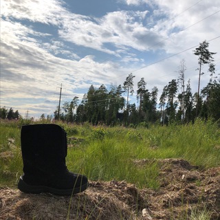 Telegram profile photo for Сжимание Узких Кругов
