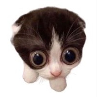Telegram profile photo for ИннаБиБ