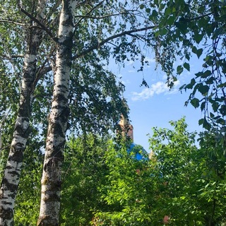 Telegram profile photo for Погода города Белгорода