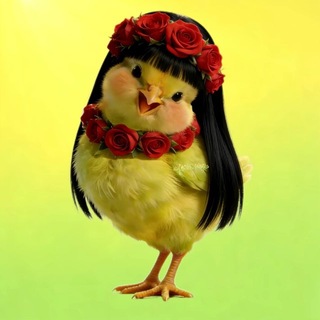 Telegram profile photo for 林初的朋友圈2.0
