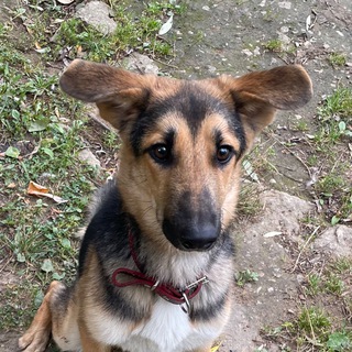 Telegram profile photo for Красотка_Тося и мы...