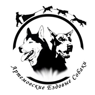 Telegram profile photo for Артемовские ездовые собаки🐕
