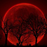 Telegram profile photo for یادگاری امیر روانی