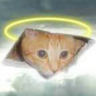 Telegram profile photo for ЛПГМ