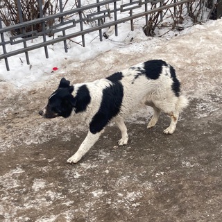 Telegram profile photo for все не так уж важно