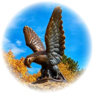 Telegram profile photo for Афиша и туристические новости КМВ