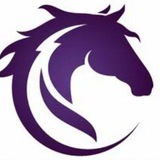 Telegram profile photo for Chopar Shop