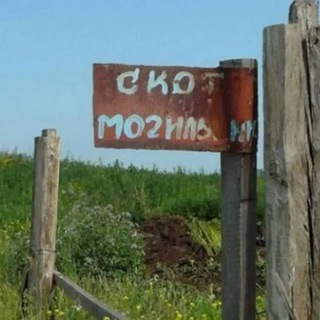 Telegram profile photo for хттп://сбирска-яз8а.орг/бациллус_антрацис.хтм