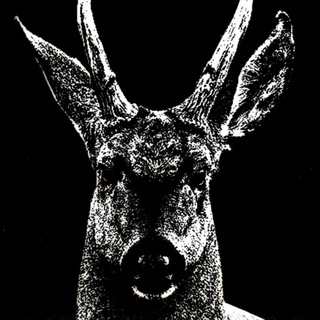 Telegram profile photo for POLOSVR