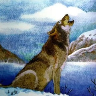 Telegram group profile photo for WolfKing On BSC