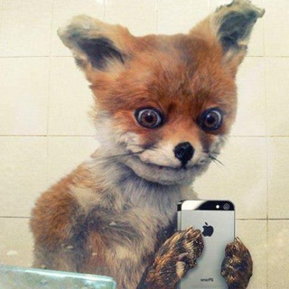Telegram profile photo for ПРИКОЛЫ 😂 МЕМЫ АНЕКДОТЫ