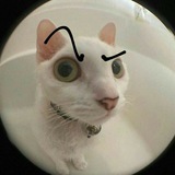 Telegram profile photo for β‘ππ π₯π ππππβ‘